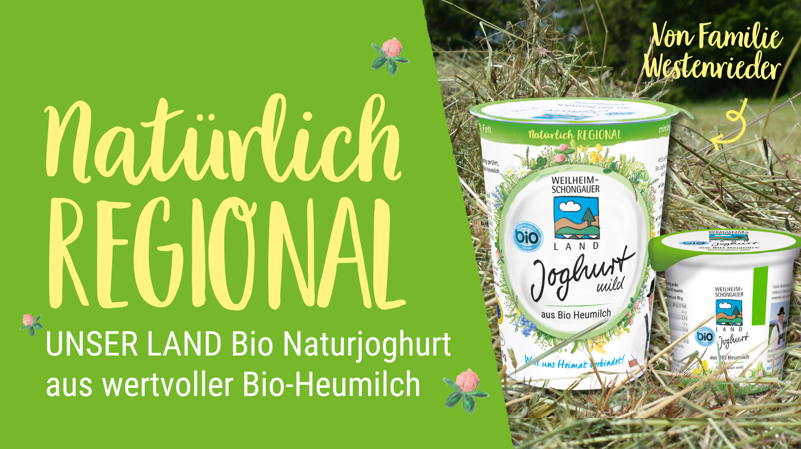 Titelbild Joghurt 2024 Mobil 1600x898